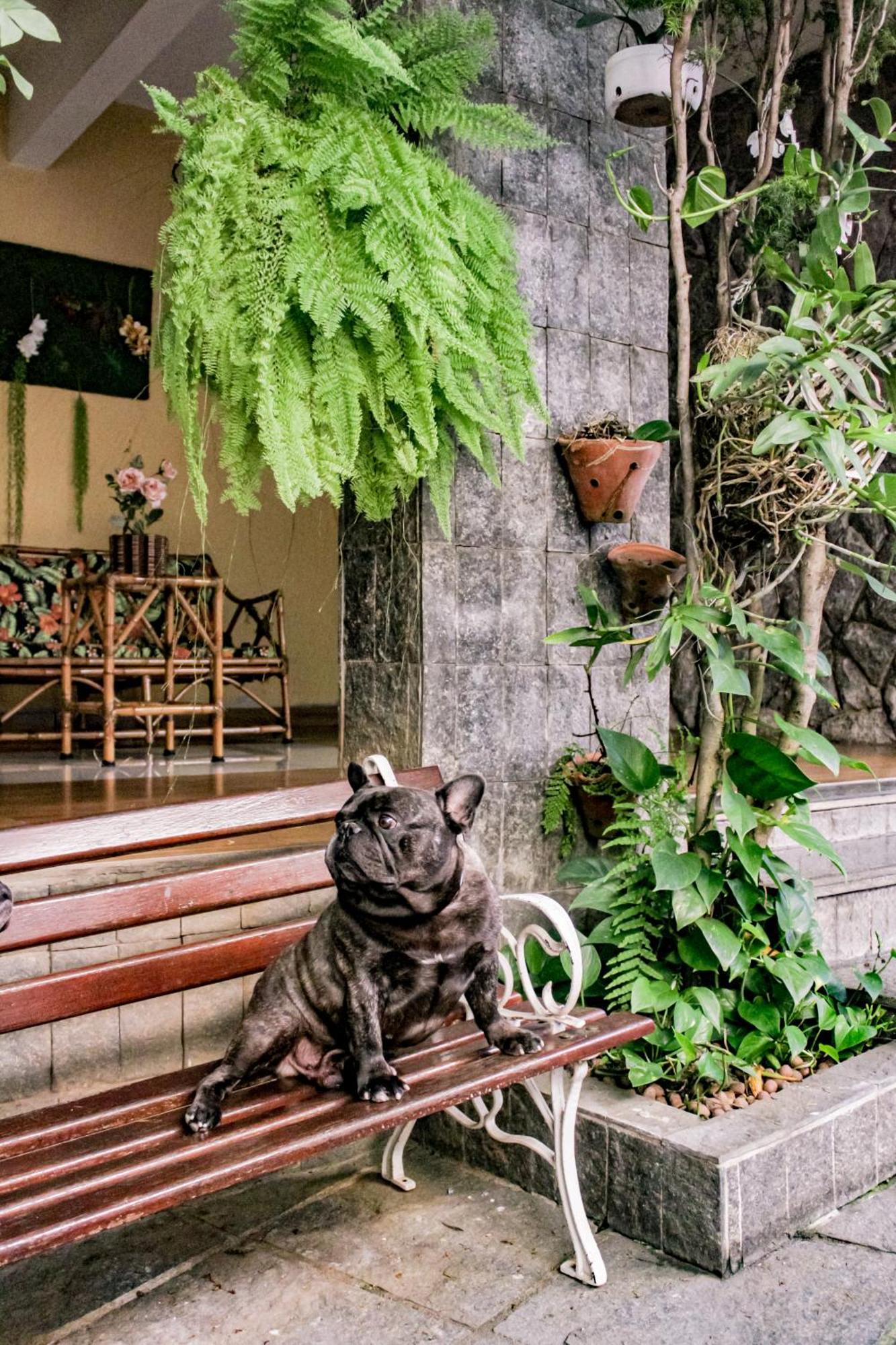 Hotel Primavera ベチン エクステリア 写真